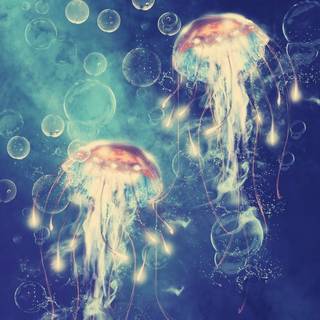 Jellyfish art wallpaper