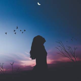 Bird in sky wallpaper