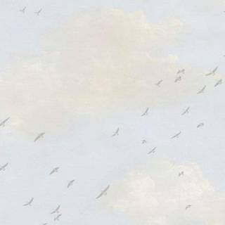 Bird in sky wallpaper