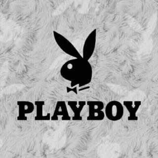 Playboy wallpaper