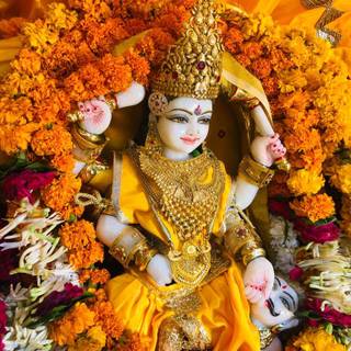 Bagalamukhi wallpaper