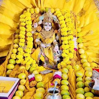 Bagalamukhi wallpaper