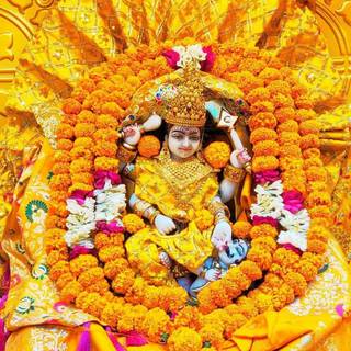 Bagalamukhi wallpaper