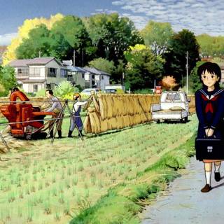 Whisper of the Heart UHD wallpaper