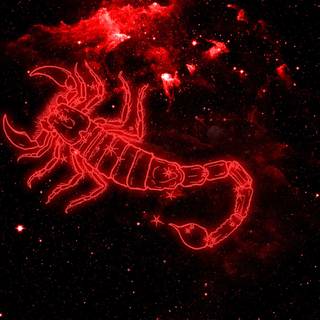 Scorpio Halloween wallpaper