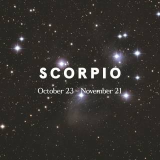 Scorpio Halloween wallpaper