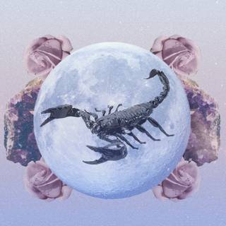 Scorpio Halloween wallpaper