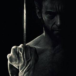 Middle finger wallpaper