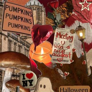 Orange coquette wallpaper