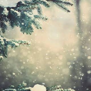 Aesthetic vintage winter desktop wallpaper