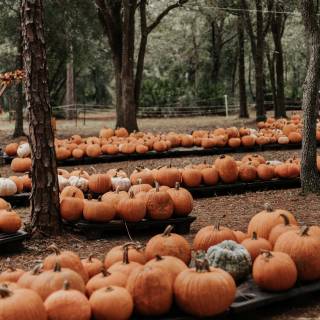 Spooky autumn laptop wallpaper