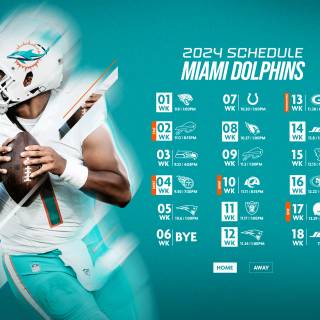 Miami Dolphins 2024 wallpaper