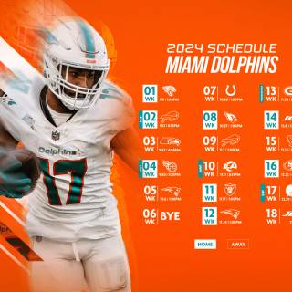 Miami Dolphins 2024 wallpaper