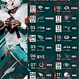 Miami Dolphins 2024 wallpaper