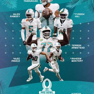 Miami Dolphins 2024 wallpaper