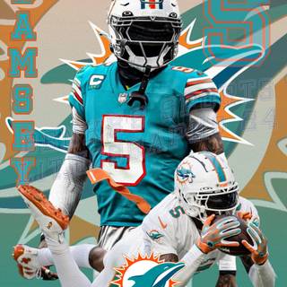 Miami Dolphins 2024 wallpaper