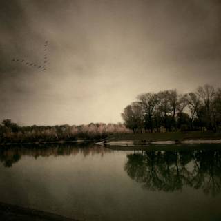 Dark autumn flowers wallpaper