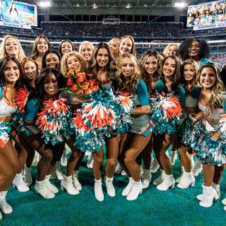 Miami Dolphins 2024 wallpaper