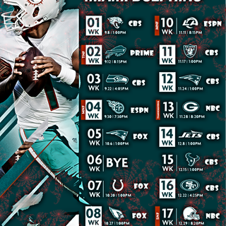 Miami Dolphins 2024 wallpaper