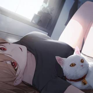 Anime 4k cat wallpaper