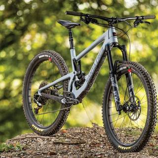 Santa Cruz v10 wallpaper