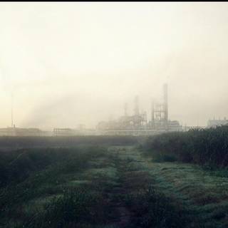 True Detective season 1 wallpaper