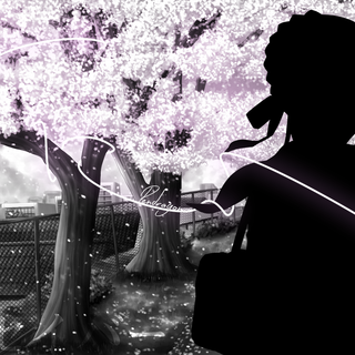 Black and white Sakura wallpaper
