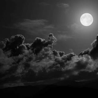 White and black PC wallpaper