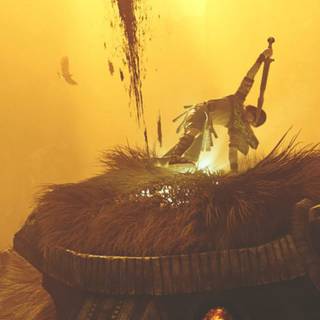 Shadow of the Colossus phone wallpaper