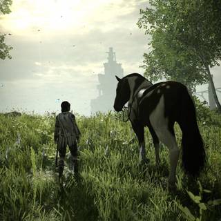 Shadow of the Colossus phone wallpaper