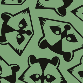 Racoon phone wallpaper