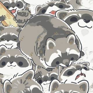 Racoon phone wallpaper