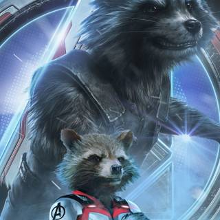 Racoon phone wallpaper