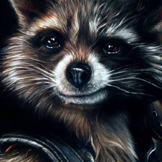 Racoon phone wallpaper