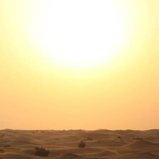 Yellow iPhone 12 wallpaper