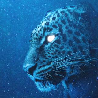 Snow leopard iPhone wallpaper