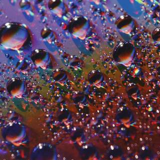 Water drop iPhone wallpaper