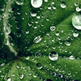 Water drop iPhone wallpaper