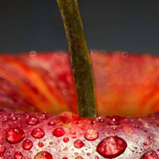 Water drop iPhone wallpaper