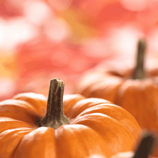 Cozy autumn mobile wallpaper