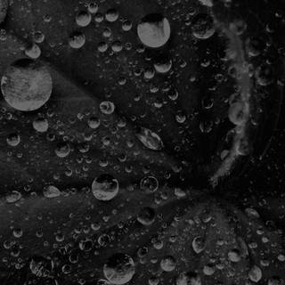 Water drop iPhone wallpaper