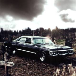 Impala phone wallpaper