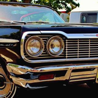 Impala phone wallpaper