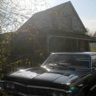 Impala phone wallpaper