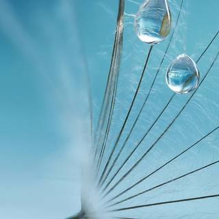 Water drop iPhone wallpaper