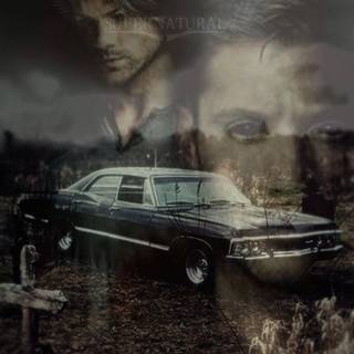 Impala phone wallpaper