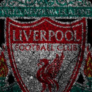 Liverpool logo iPhone wallpaper