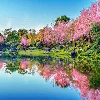 Korea landscape wallpaper