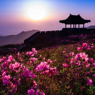 Korea landscape wallpaper