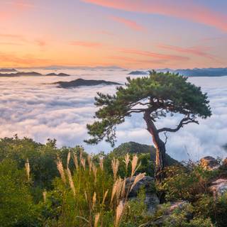 Korea landscape wallpaper